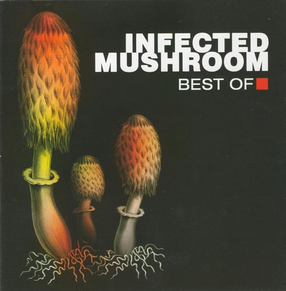 Cover image for Best Of Infected Mushroom