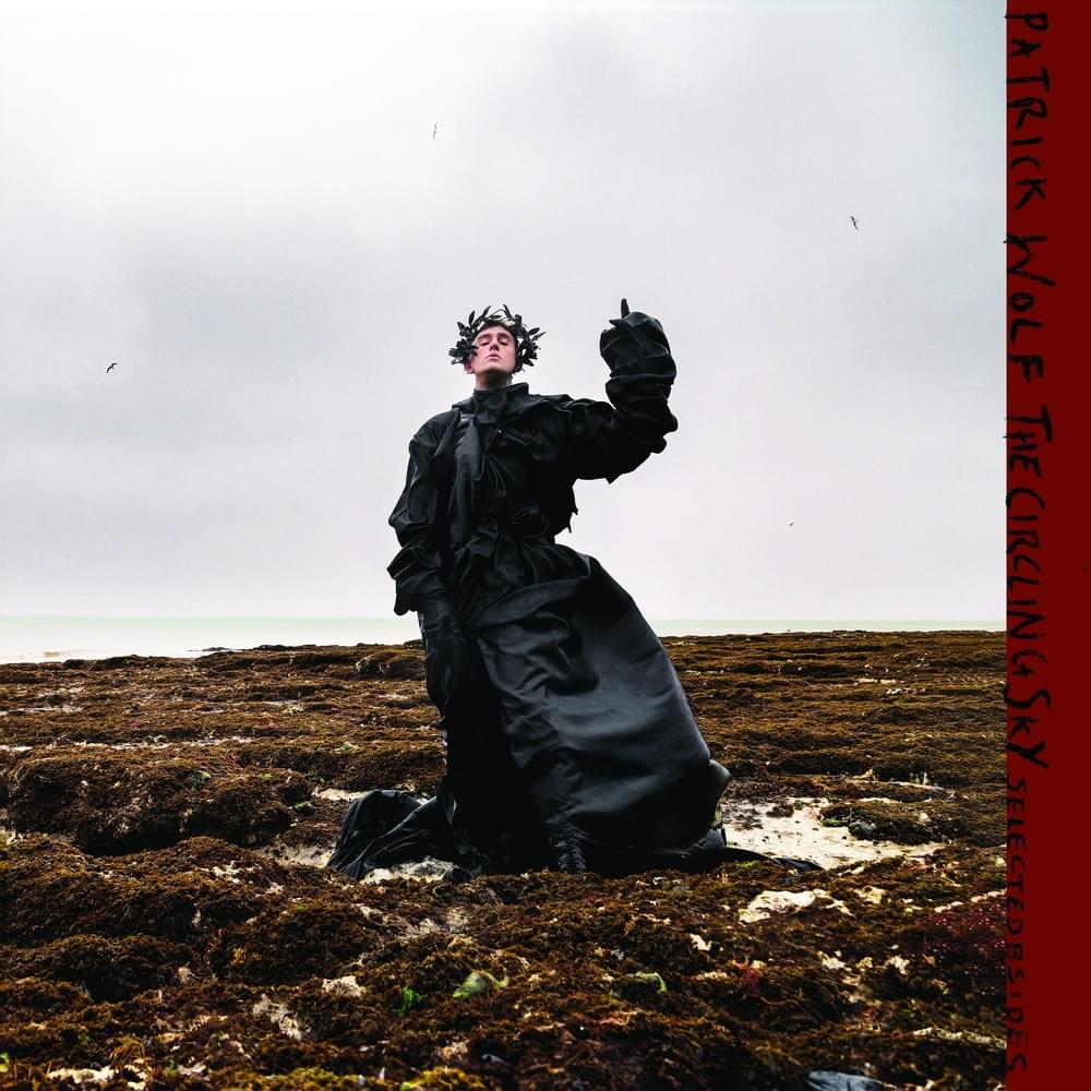 Cover image for The Circling Sky