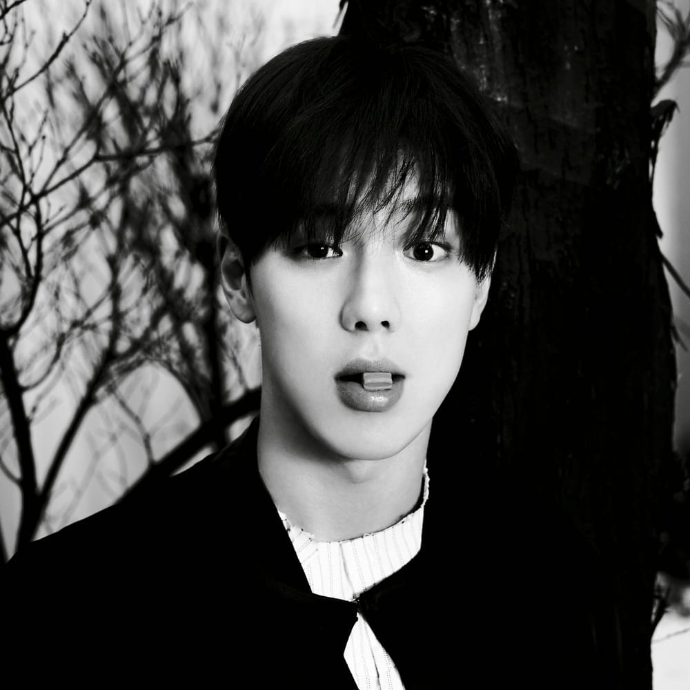 SHOWNU (셔누) Profile Picture Photo of SHOWNU (셔누)