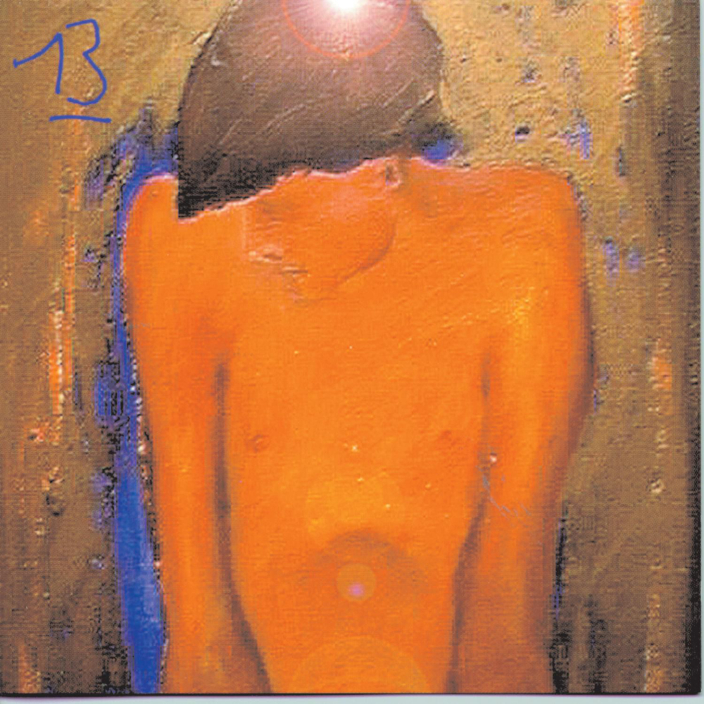 Cover image for 13 (Special Edition)