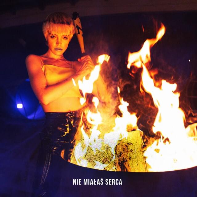 Album cover art for "NIE MIAŁAŚ SERCA" by przyłu