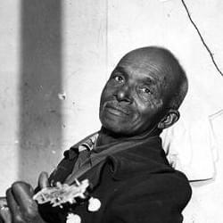 Viola Lee Blues (Take 1) by Gus Cannon