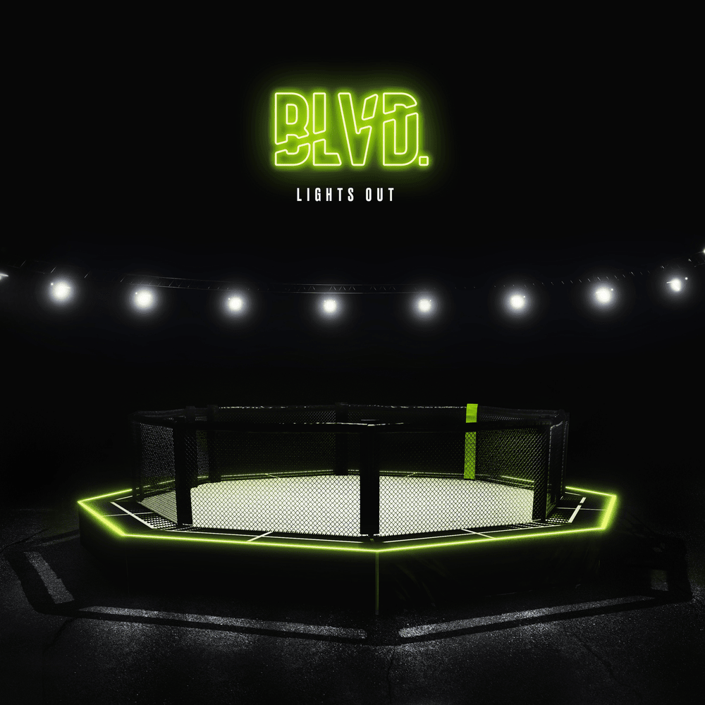 Lights Out by BLVD. (EDM)