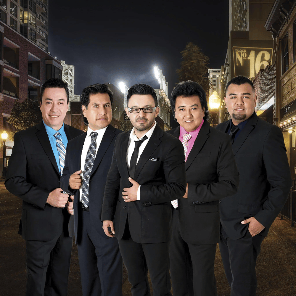 Cover image for Grupo Bryndis
