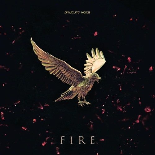Album cover art for "Fire" by Phuture Noize & Daimy Lotus