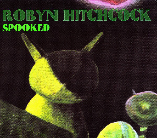 She Was You by Robyn Hitchcock