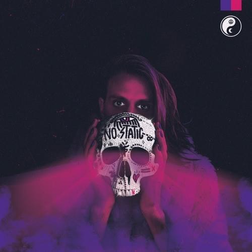 Cover image for No Static