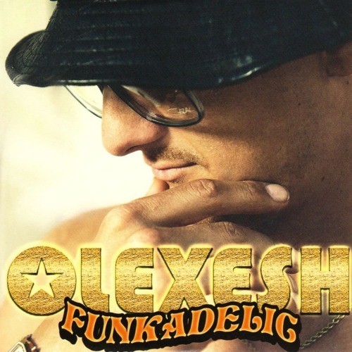 Cover image for Funkadelic