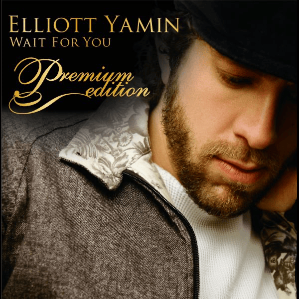 Cover image for Wait For You (Premium Edition)