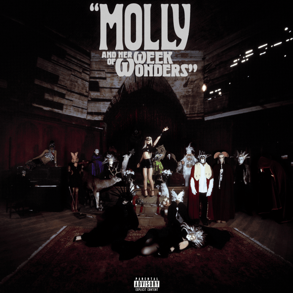 Cover image for Molly And Her Week Of Wonders (Deluxe)