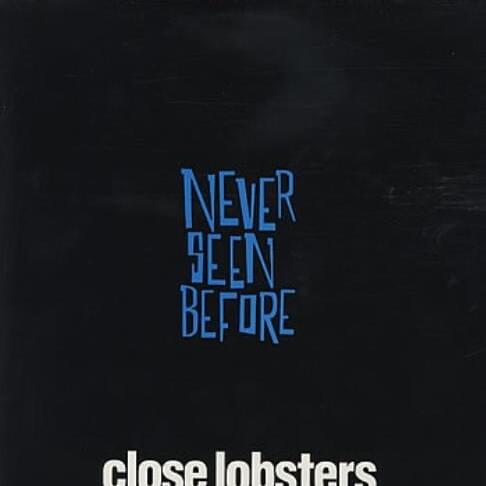 Cover image for Never Seen Before
