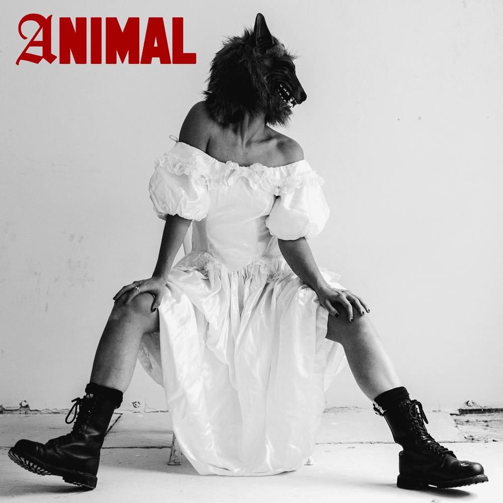 Album cover art for "Animal" by Saint Agnes