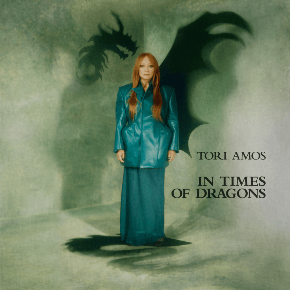 Cover image for In Times of Dragons