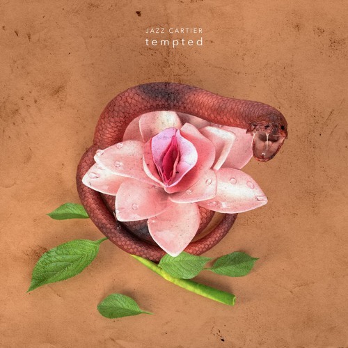 Album cover art for "TEMPTED" by Jazz Cartier