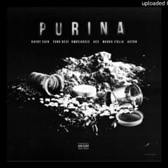 Album cover art for "PURINA" by PXXR GVNG & Axton & Dmo Sikosis & Marko Italia