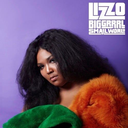 Album cover art for "The Fade" by Lizzo