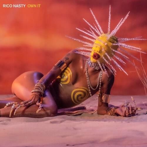 Album cover art for "Own It" by Rico Nasty
