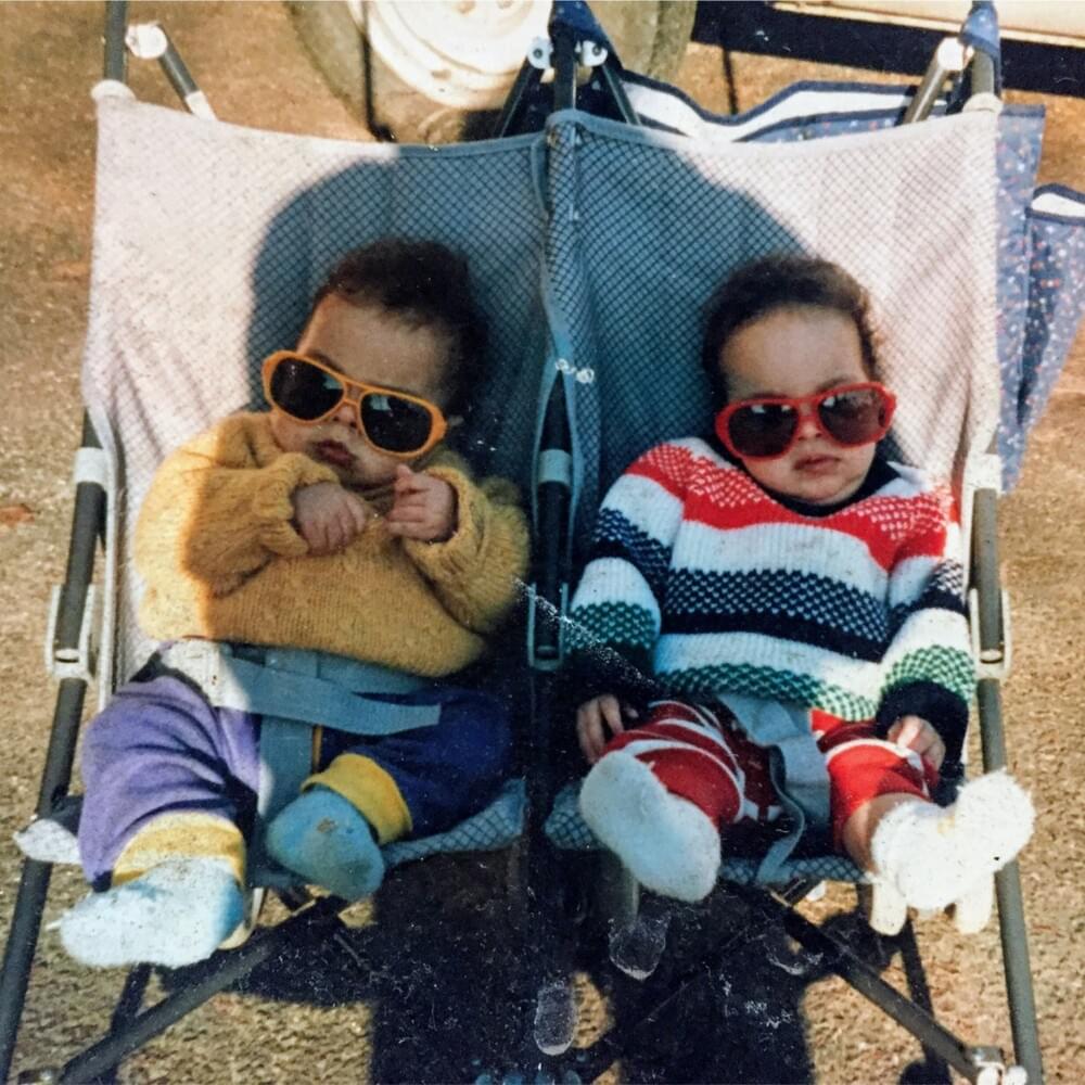 Cover image for Twins in the Womb