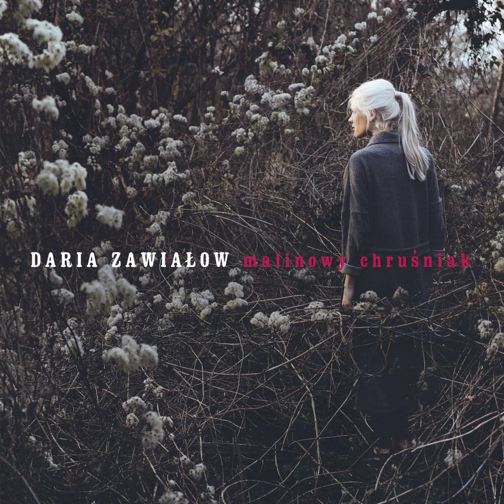 Album cover art for "Malinowy Chruśniak" by Daria Zawiałow