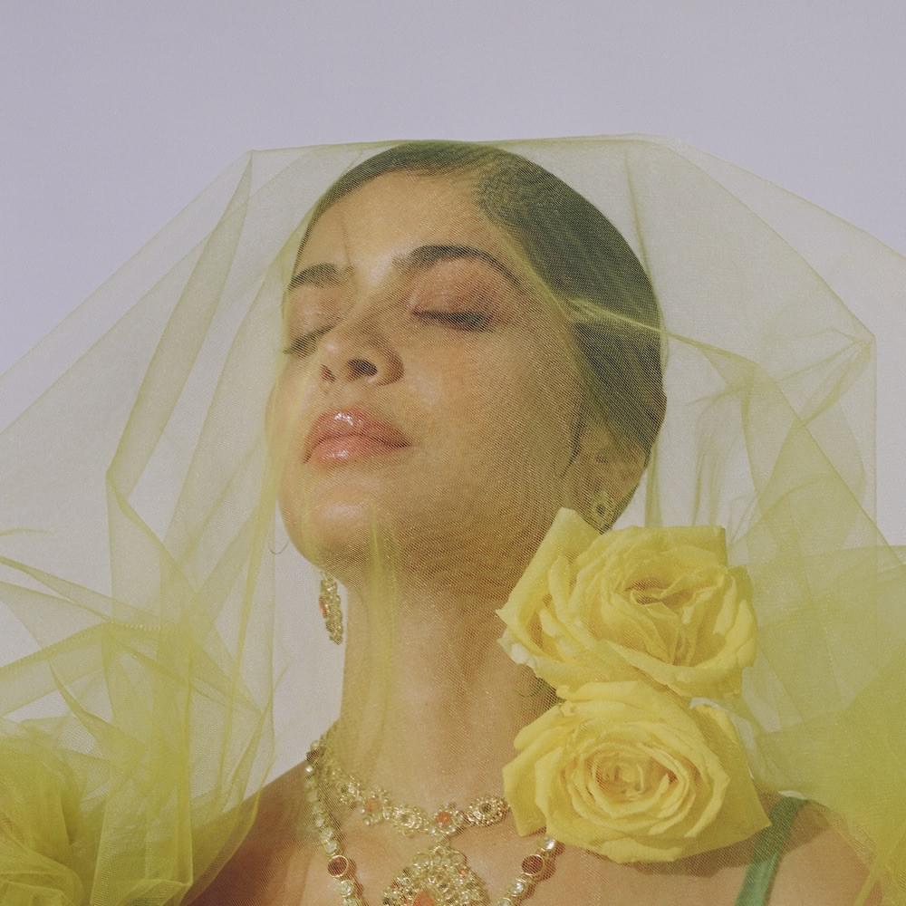 Cover image for Lao Ra