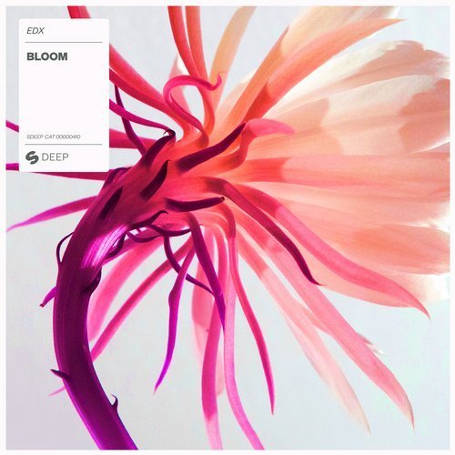 Bloom by EDX