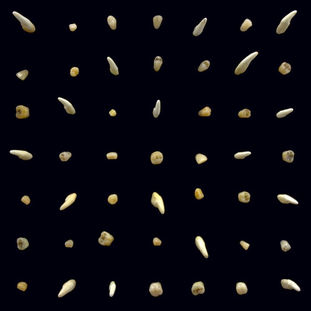 Album cover art for "Check the Lock" by clipping.
