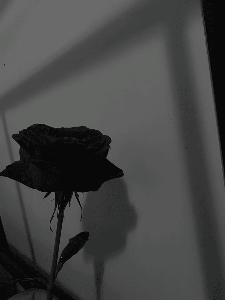 Album cover art for "DEAD ROSE (Fading Bloom)" by Yøung SadzZz