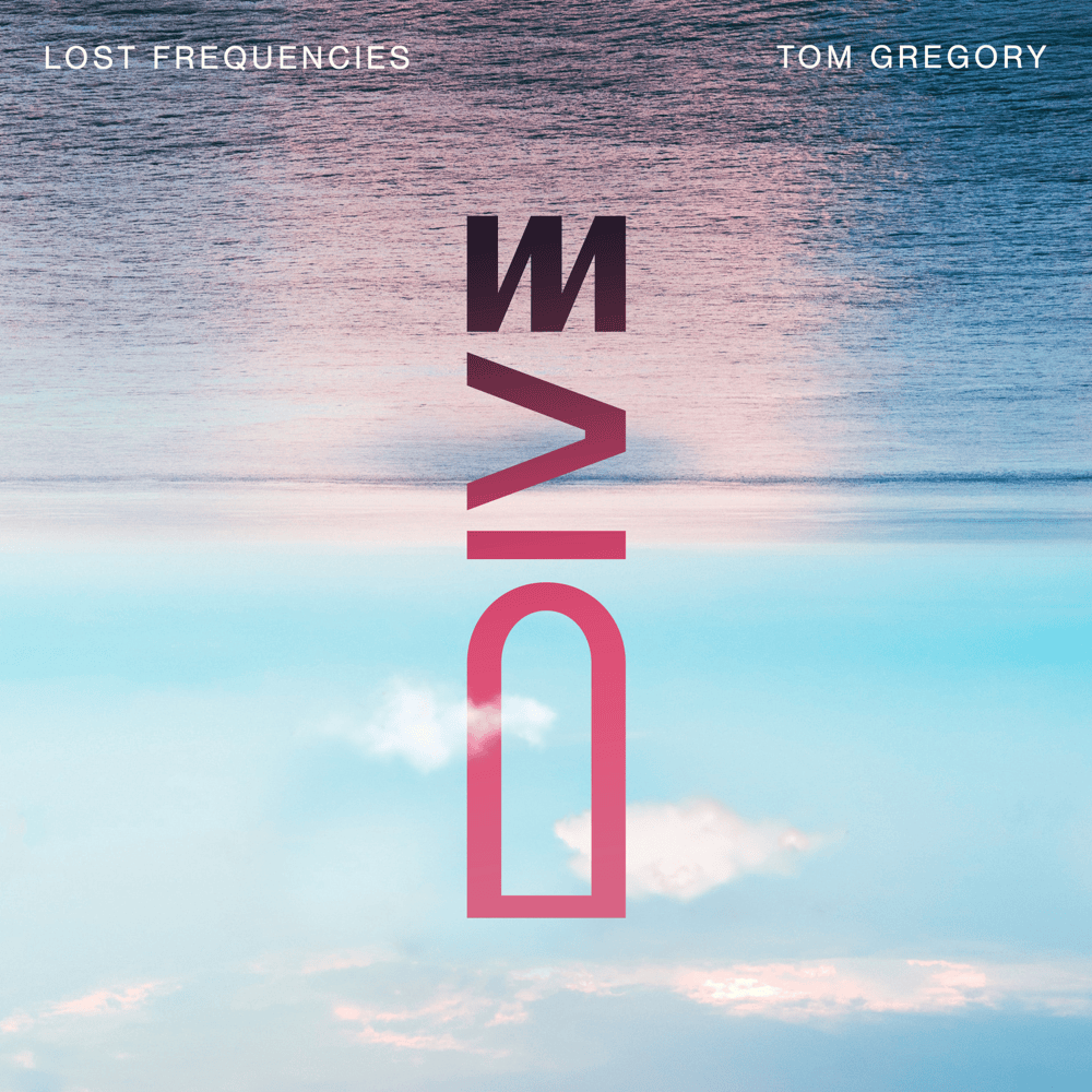 Album cover art for "Dive" by Lost Frequencies
