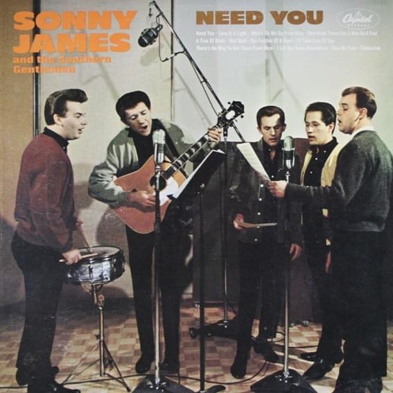Cover image for Need You