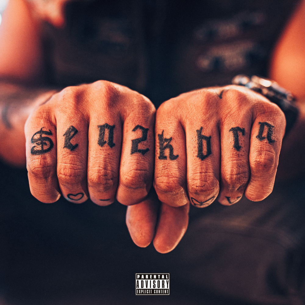 Cover image for SEN2 KBRN, VOL. 1