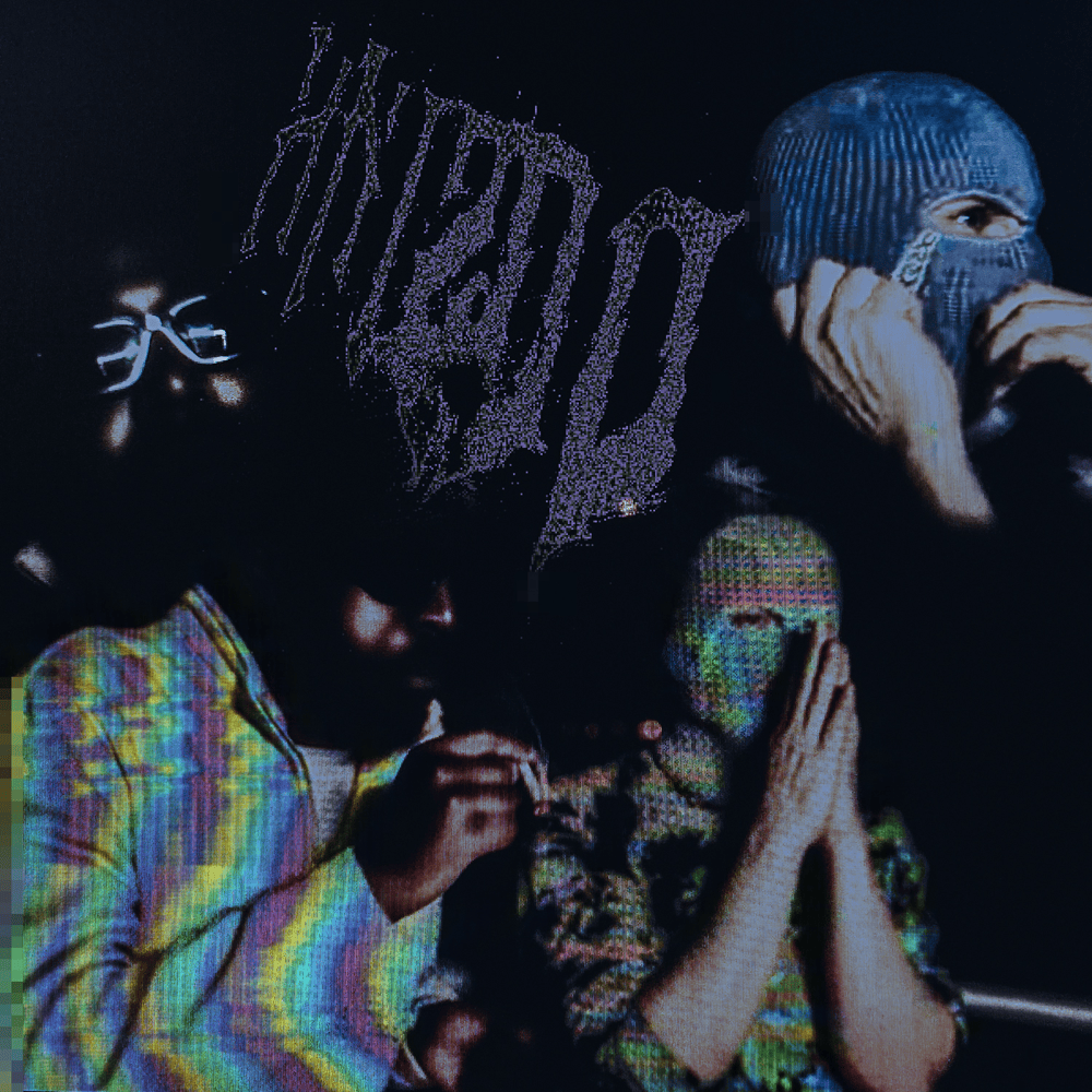Album cover art for "Hnízdo" by Hugo Toxxx
