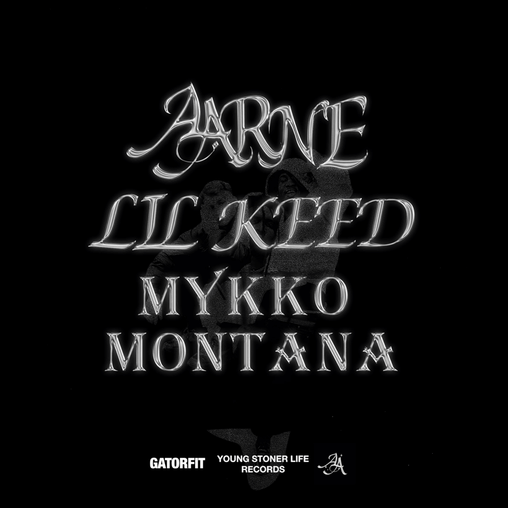 Album cover art for "Purge" by Aarne & Mykko Montana & Lil Keed