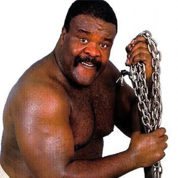 Photo of Junkyard Dog