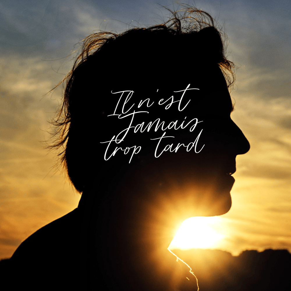 Album cover art for "Il n’est jamais trop tard" by Thomas Dutronc