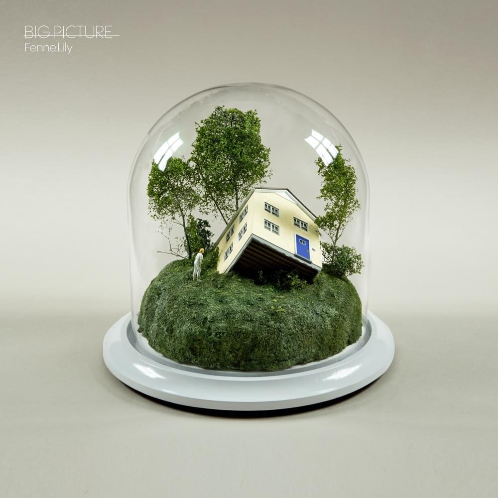 Cover image for Big Picture (Expanded Edition)