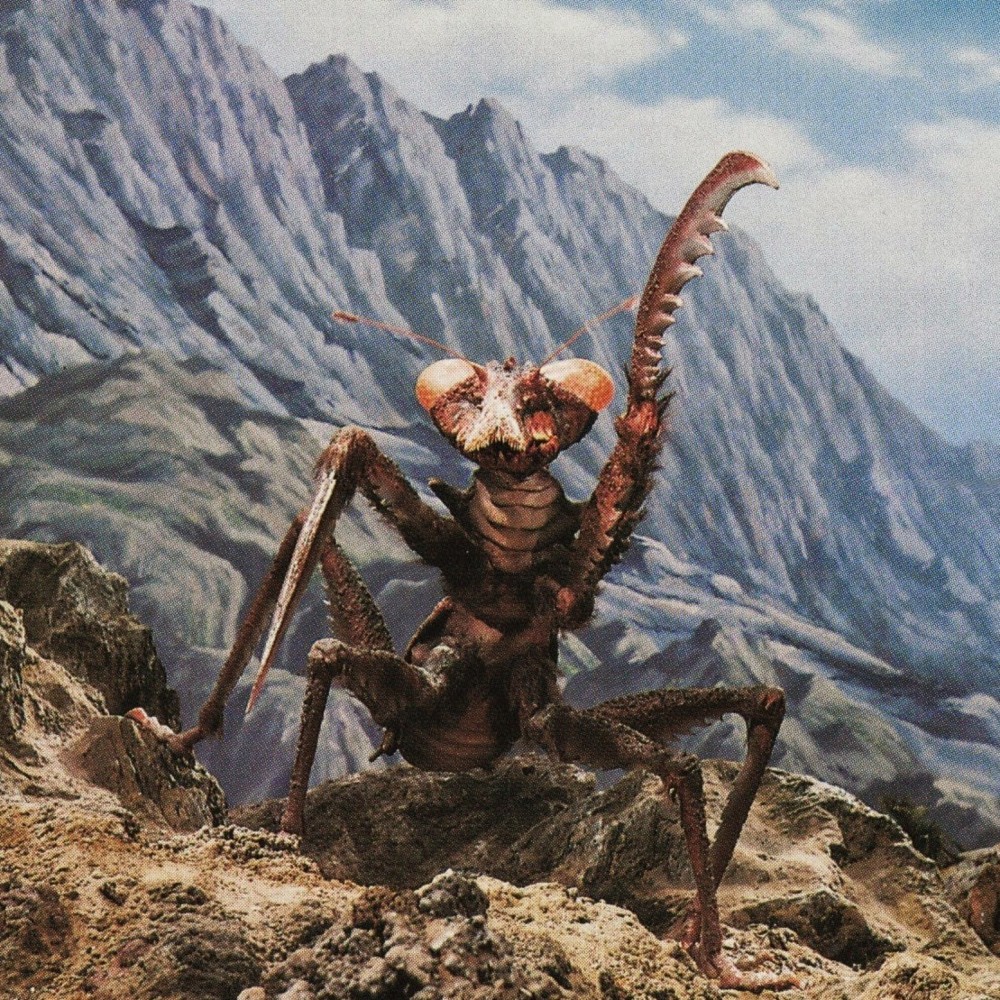 Photo of Kamackeris