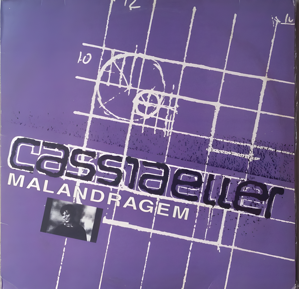 Malandragem by Cássia Eller