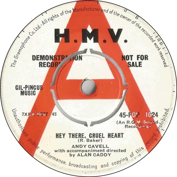 Hey There, Cruel Heart by Andy Cavell