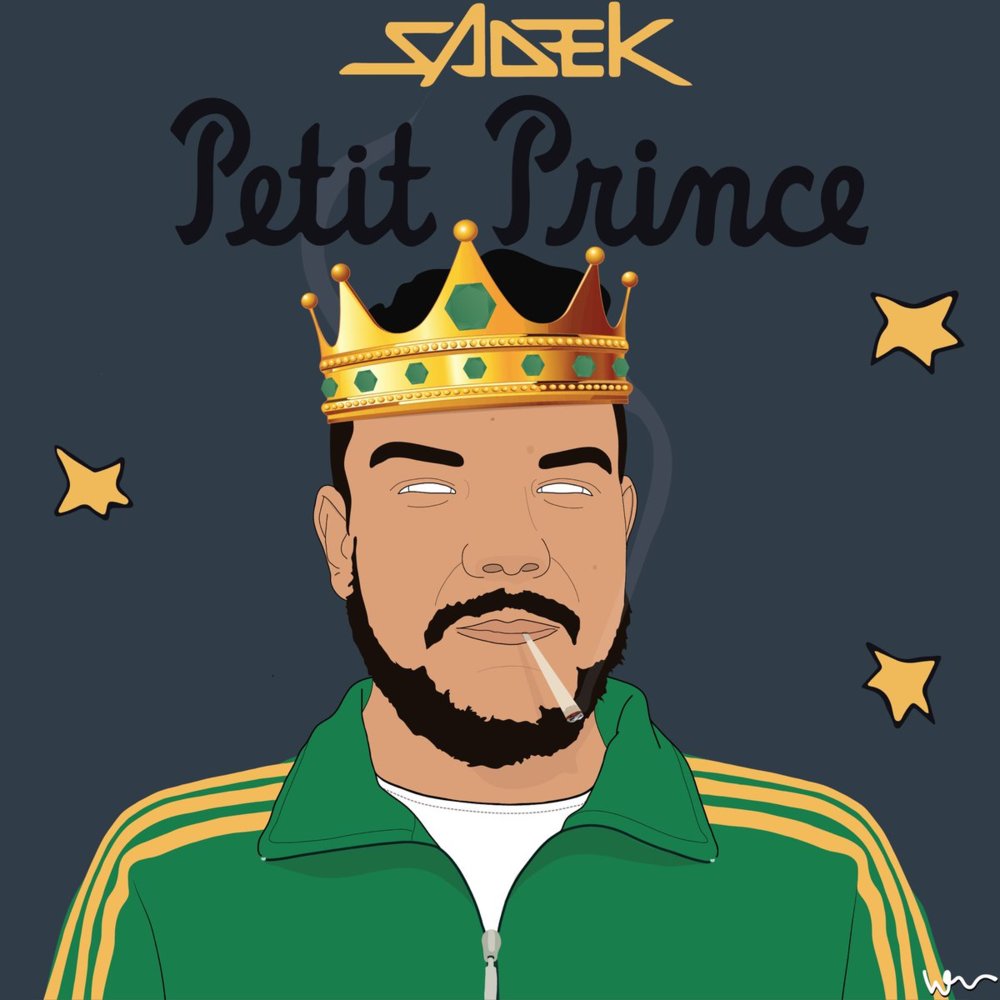 Album cover art for "Petit prince" by Skyrock