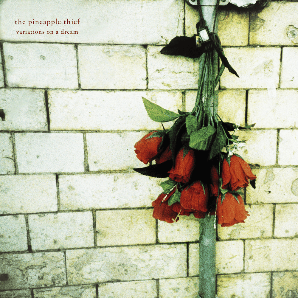 Cover image for Variations on a Dream (2LP Version)