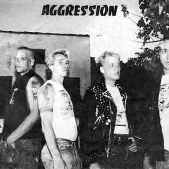 Cover image for Agression