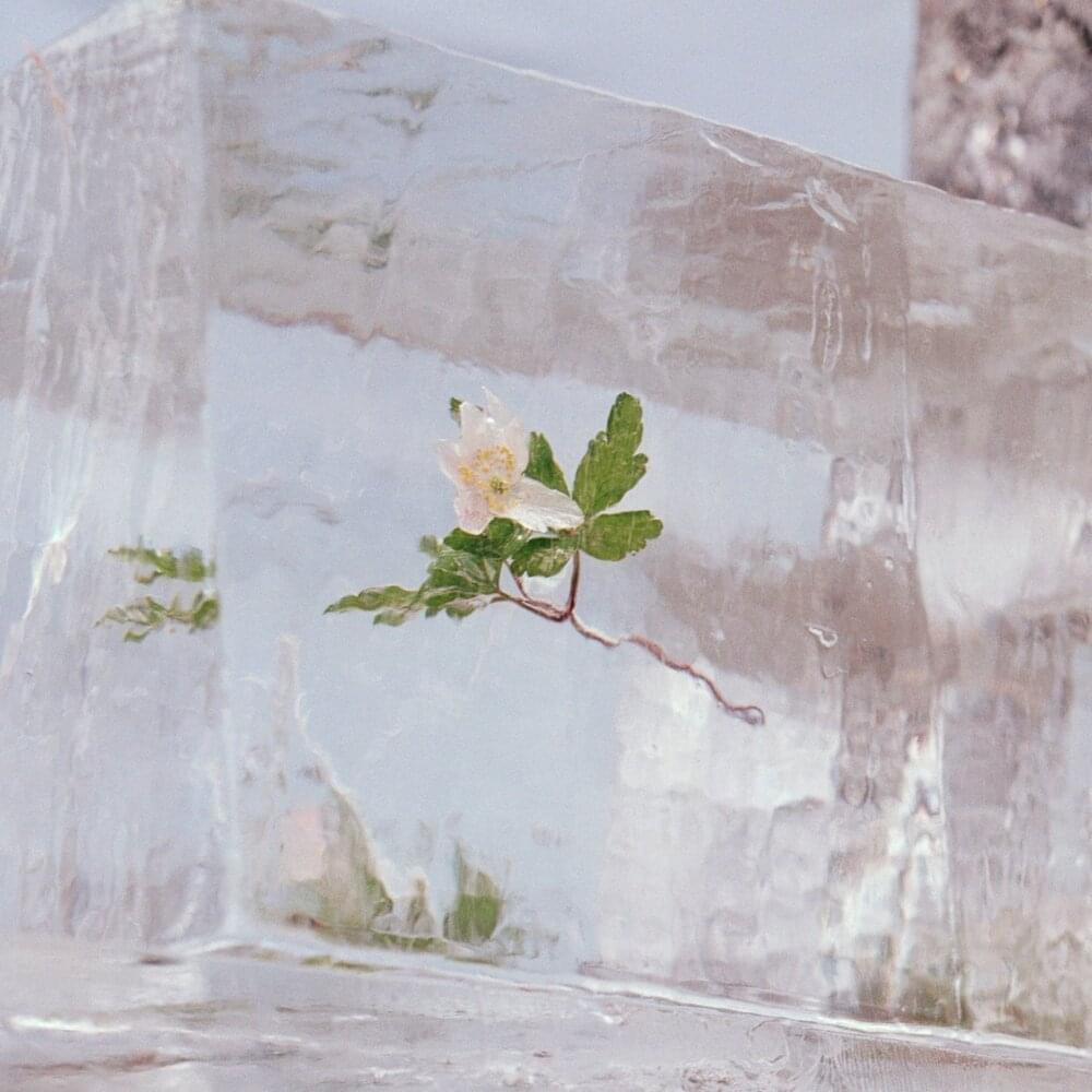 Album cover art for "Living Other Lives" by Efterklang