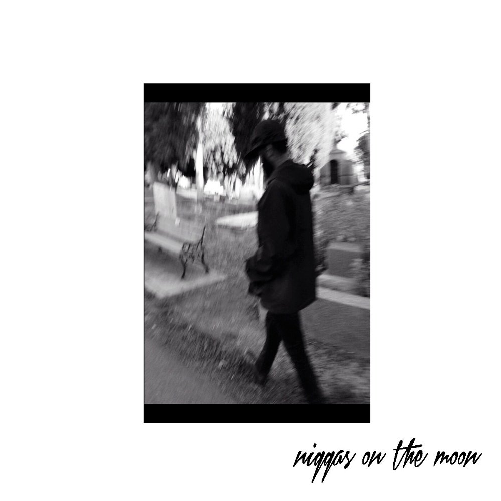 Cover image for niggas on the moon
