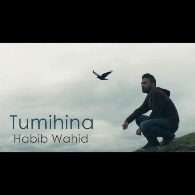 Cover image for Tumi Hina