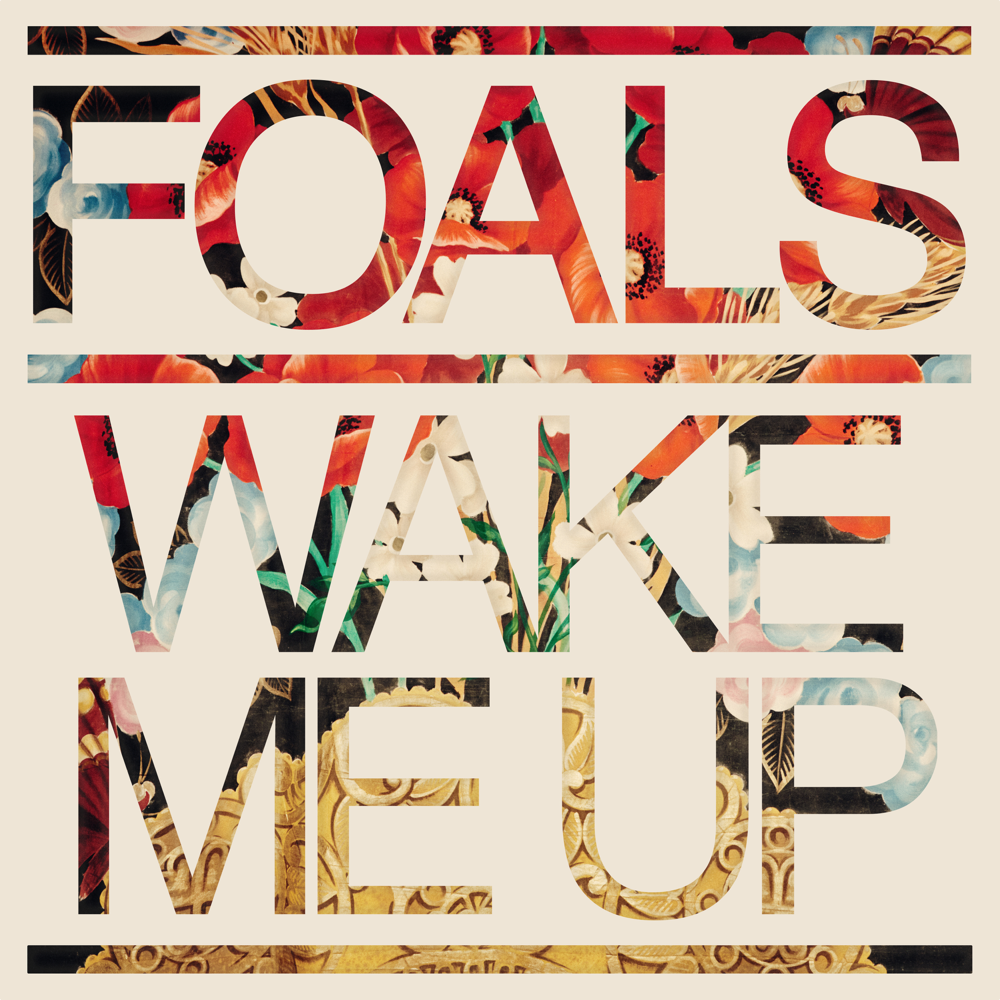 Album cover art for "Wake Me Up" by Foals
