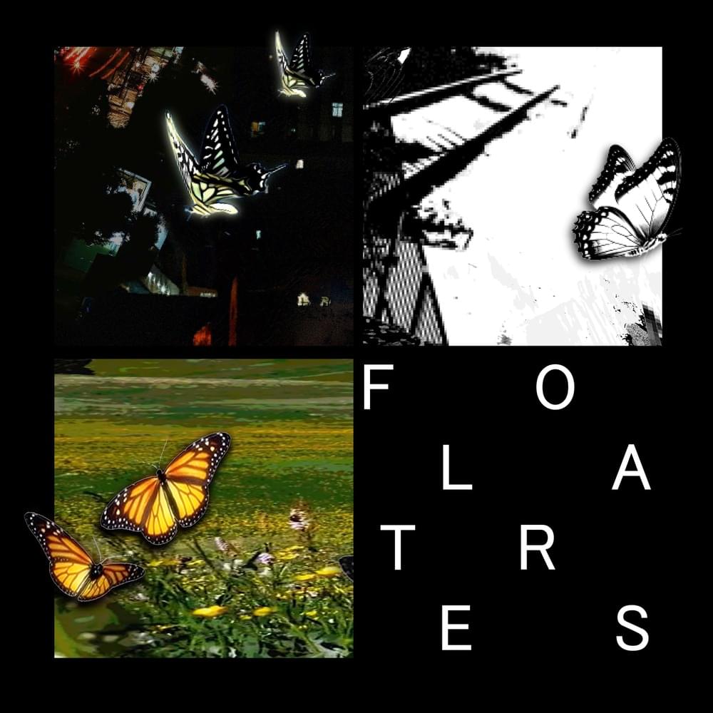 Cover image for Floaters