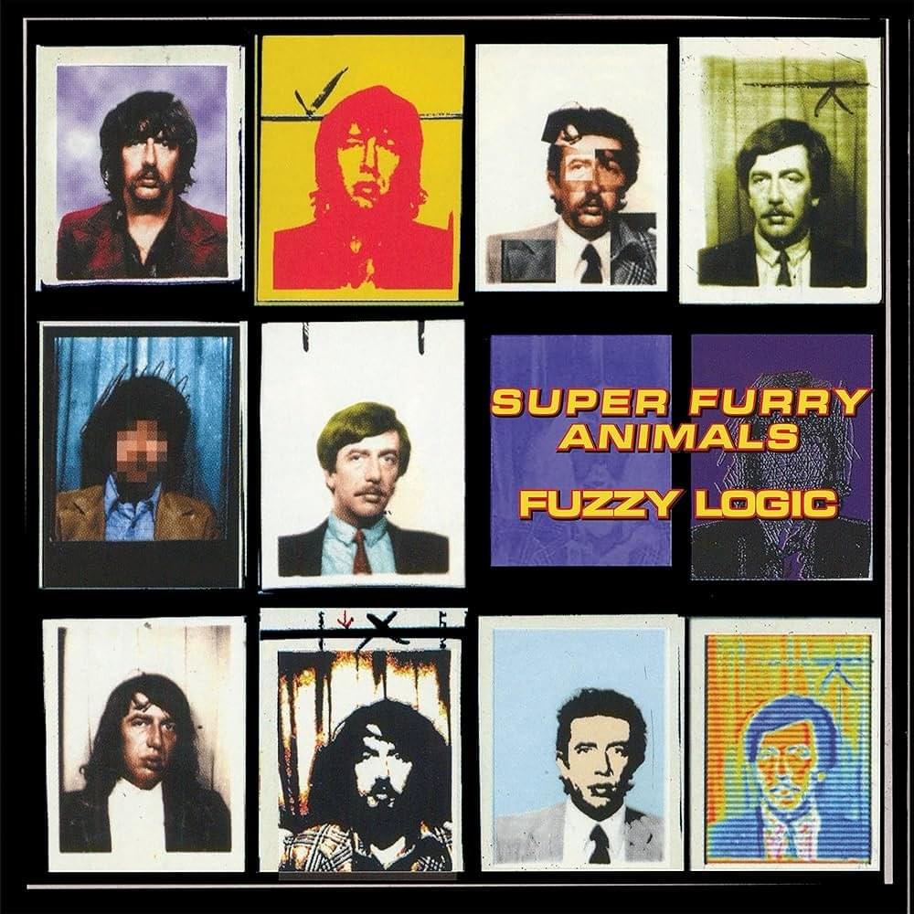Cover image for Fuzzy Logic (20th Anniversary Deluxe Edition)