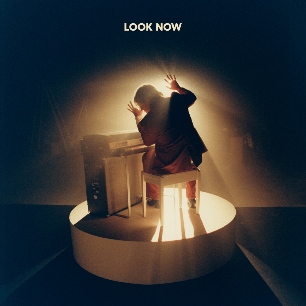 Cover image for Look Now