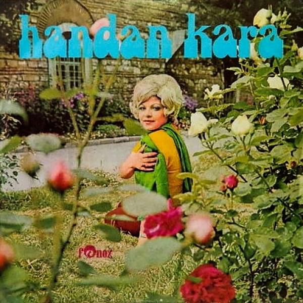 Bir Garip Yolcu by Handan Kara