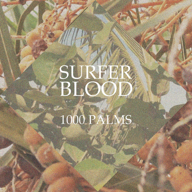 Other Desert Cities by Surfer Blood